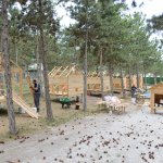 Belediyenin hayvanat bahçesi büyüyor