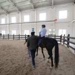 Engellilere atlı rehabilitasyon