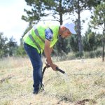 Kuraklığa karşı fidan diktiler