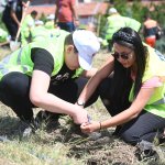 Kuraklığa karşı fidan diktiler