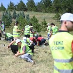 Kuraklığa karşı fidan diktiler