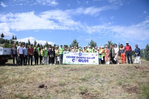 Kuraklığa karşı fidan diktiler