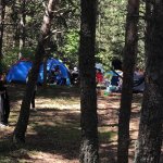 En Baba Kamp'ta gönüllerince eğlendiler