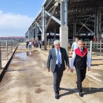 Hayvan Pazarında ilgili kurum ve STK’lara yer tahsis edildi