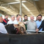 Başkan Aşgın’dan Hayvan Pazarına Ziyaret