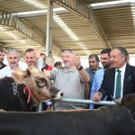 Başkan Aşgın’dan Hayvan Pazarına Ziyaret