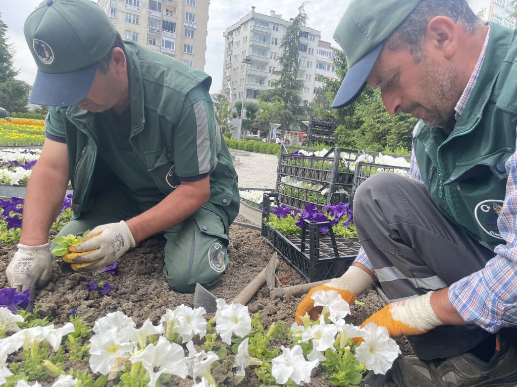 Çorum yaza girerken çiçeklerle bezeniyor