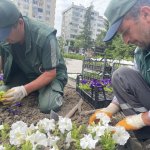 Çorum yaza girerken çiçeklerle bezeniyor