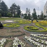 Çorum yaza girerken çiçeklerle bezeniyor