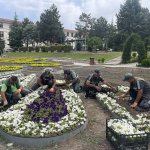 Çorum yaza girerken çiçeklerle bezeniyor