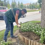 Çorum yaza girerken çiçeklerle bezeniyor