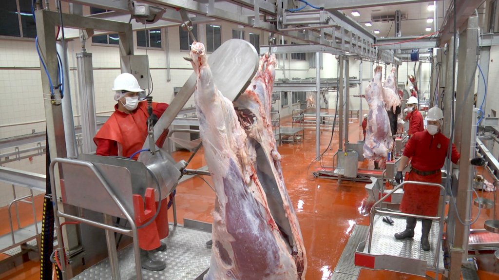 HalkEt’te kurban kesimi için online randevu sistemi açıldı