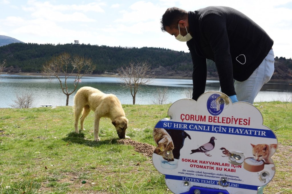 İhbarlara karşı Veteriner İşleri ekipleri 7/24 nöbette