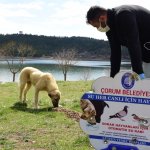 İhbarlara karşı Veteriner İşleri ekipleri 7/24 nöbette