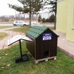 Sokağın hayvanına başkan sahip çıktı