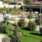 Çorumina’ya yoğun ilgi