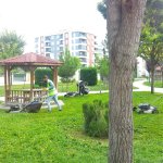 Çiçeklendirme ve çevre düzenleme çalışmaları devam ediyor