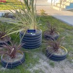 Belediyemiz, atıkları ekonomiye kazandırıyor