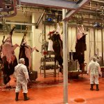 Belediyemiz bayram boyunca mesaideydi