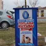 Bayat ekmeklerden sokak hayvanlarına mama