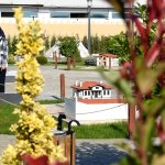 Çorumina’ya yoğun ilgi