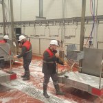 Belediyemiz, mezbahada da dezenfekte çalışmalarını tamamladı