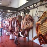 Mezbahanemiz, yine kurban kesenlerin adresi oldu