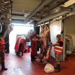 Mezbahanemiz, yine kurban kesenlerin adresi oldu