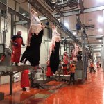 Mezbahanemiz, yine kurban kesenlerin adresi oldu