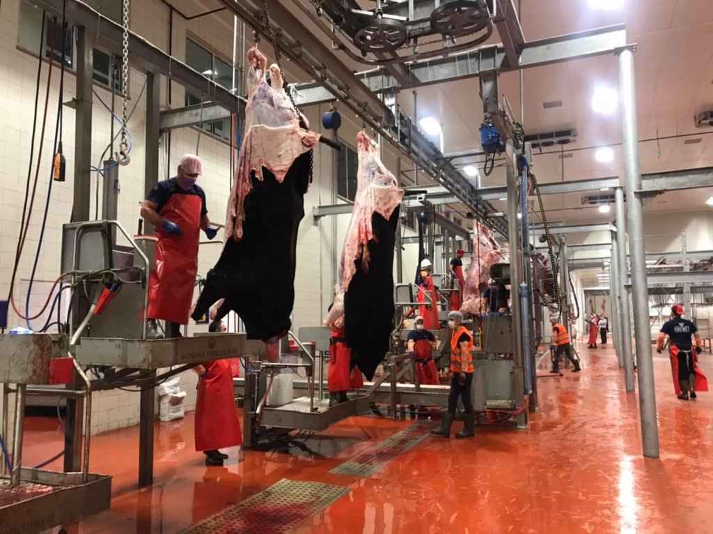 Mezbahanemiz, yine kurban kesenlerin adresi oldu