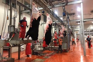 Mezbahanemiz, yine kurban kesenlerin adresi oldu