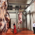 Mezbahanemiz, yine kurban kesenlerin adresi oldu