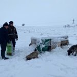 Belediyemiz, sokak hayvanlarını da unutmadı