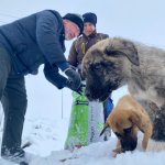 Belediyemiz, sokak hayvanlarını da unutmadı