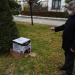 Sokağın hayvanına başkan sahip çıktı