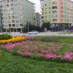 Çiçeklendirme ve çevre düzenleme çalışmaları devam ediyor