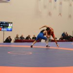 Büyükler Serbest Güreş Şampiyonası başladı