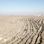 Çorum fidan dikiminde rekor'a koştu