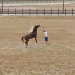 Binicilik Tesisi’ne görkemli açılış