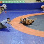 Başkan Aşgın, güreşçileri kutladı