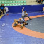 Başkan Aşgın, güreşçileri kutladı