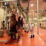 Belediyemiz bayram boyunca mesaideydi