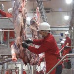 Gıda Bankası, adak kurbanlarını ihtiyaç sahiplerine ulaştırıyor