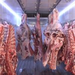 Gıda Bankası, adak kurbanlarını ihtiyaç sahiplerine ulaştırıyor