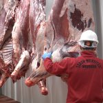 Gıda Bankası, adak kurbanlarını ihtiyaç sahiplerine ulaştırıyor