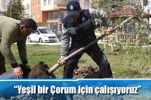 “Yeşil bir Çorum için çalışıyoruz”