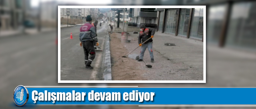 Çalışmalar sürüyor