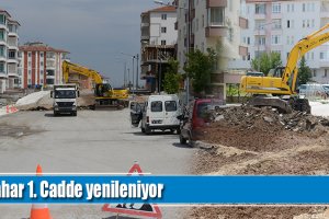 Bahar 1. Cadde yenileniyor