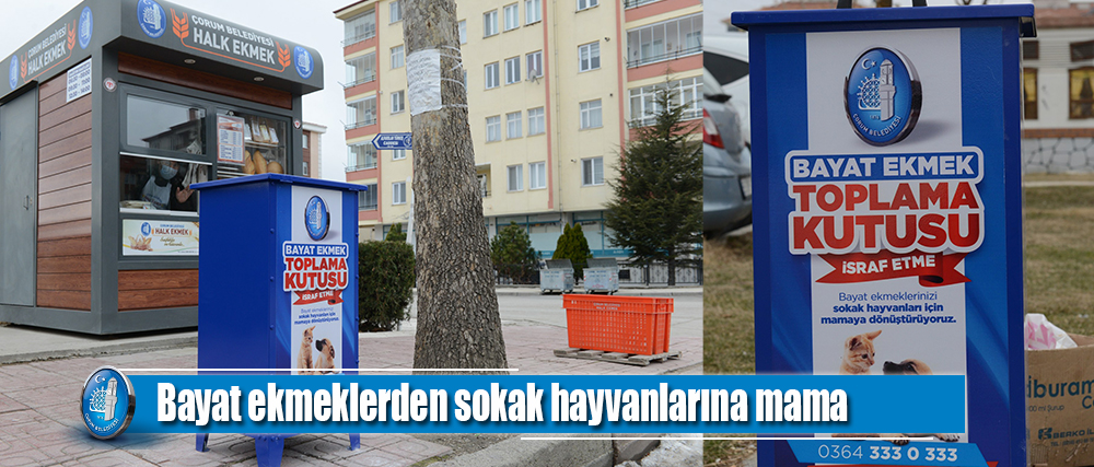 Bayat ekmeklerden sokak hayvanlarına mama