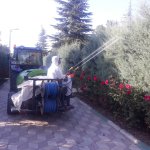 Belediyemiz Kurban Bayramına hazır